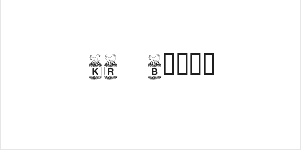 KR Birdy Logo
