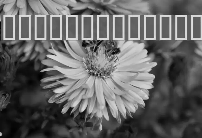 KR Birthday Numbers Font examples