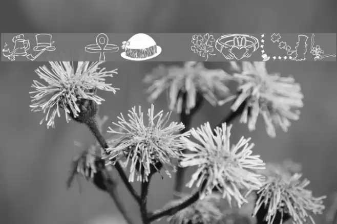 KR Bits O'Shea Font examples