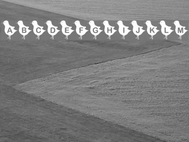 KR Blackbird Font examples