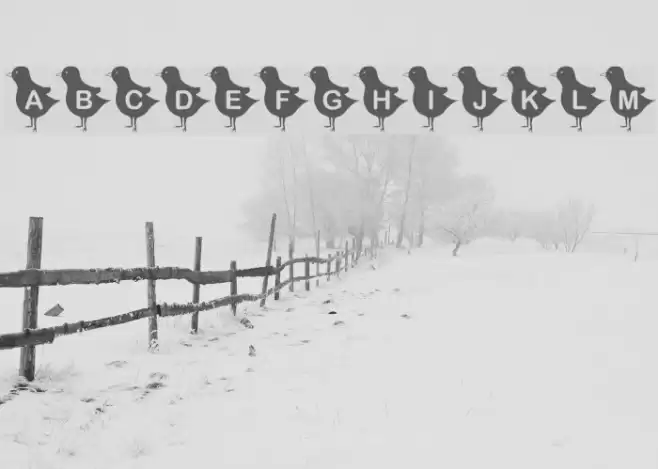 KR Blackbird Font examples