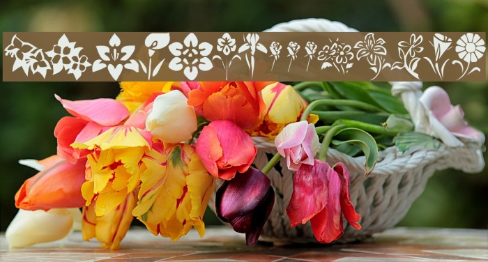 KR Blossoms 1 Example 2