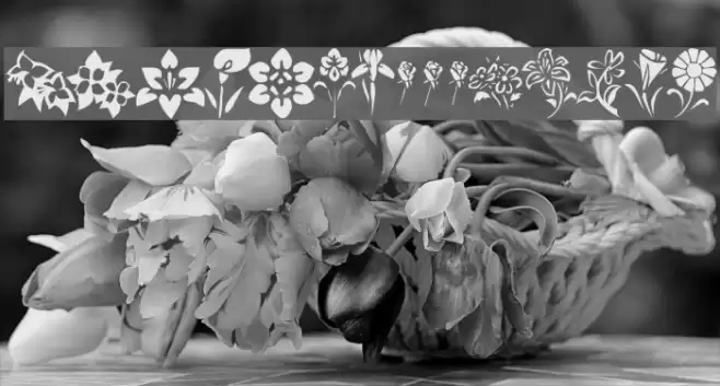 KR Blossoms 1 Font examples