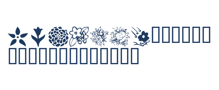 KR Blossoms 1 Lowercase