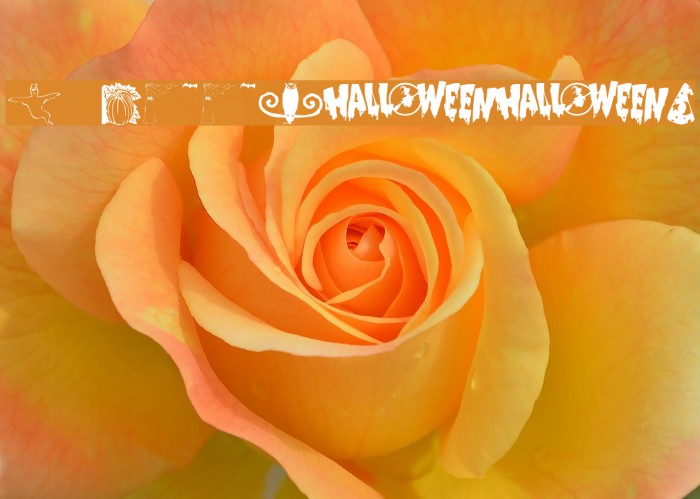 KR Booville Font examples