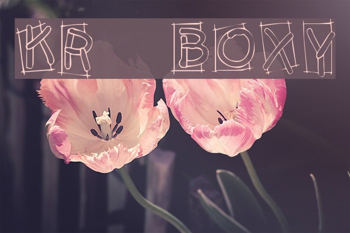 KR Boxy Font examples