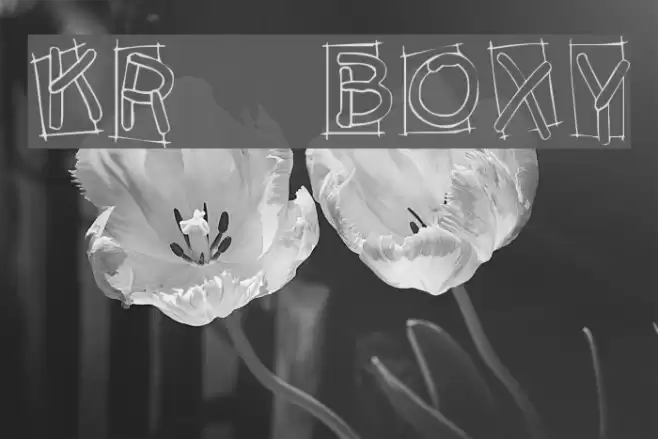 KR Boxy Schriftart examples