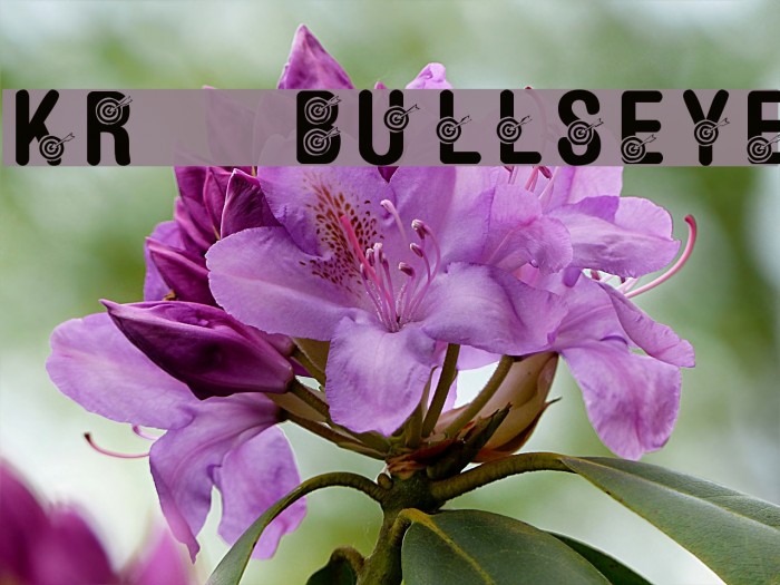 KR Bullseye! Example 3