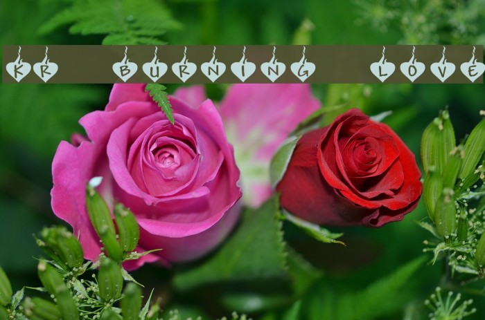 KR Burning Love Font examples