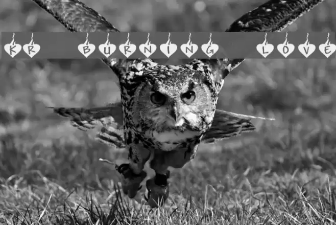 KR Burning Love Font examples