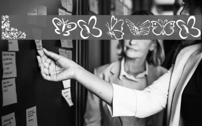 KR Butterflies Polices examples