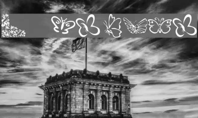 KR Butterflies Polices examples