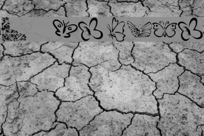 KR Butterflies Polices examples