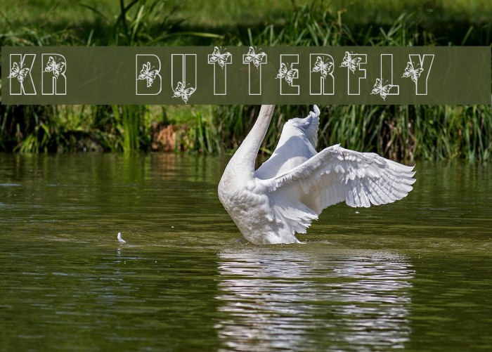 KR Butterfly 3 Font examples