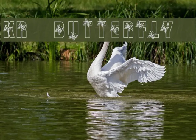 KR Butterfly 3 Example 3