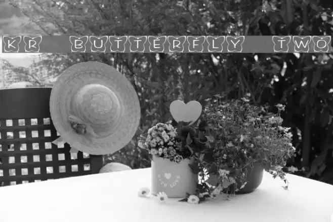 KR Butterfly Two Font examples