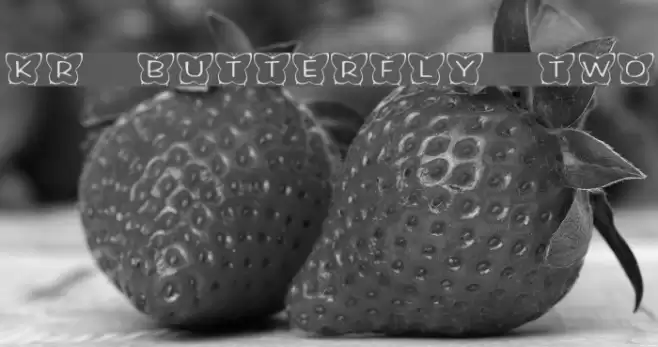 KR Butterfly Two Font examples