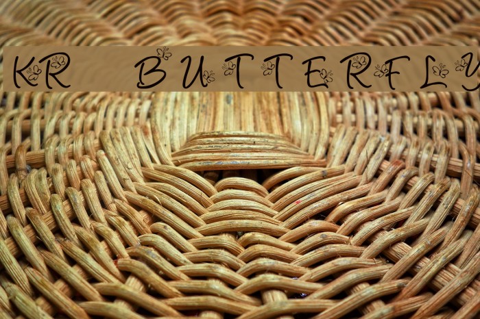 KR Butterfly Font examples