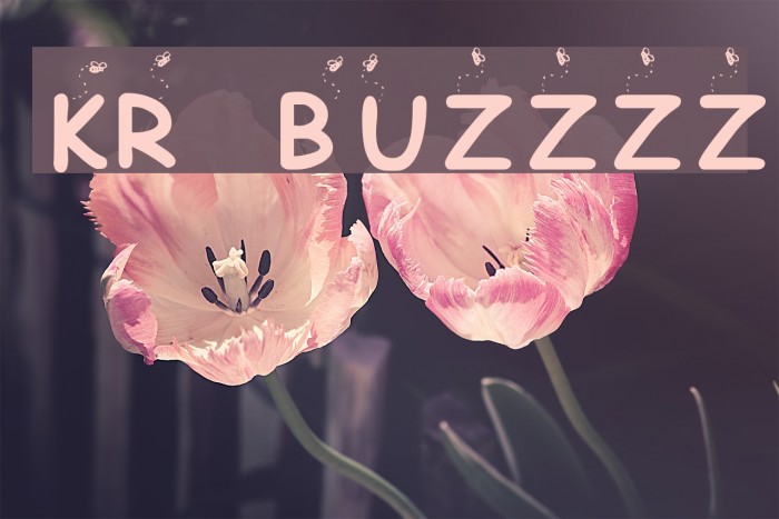 KR Buzzzz Font examples