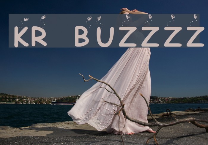 KR Buzzzz Example 1
