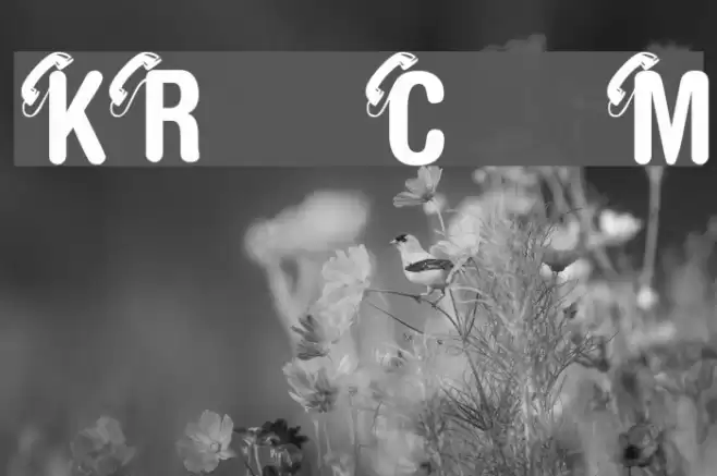 KR Call Me Font examples