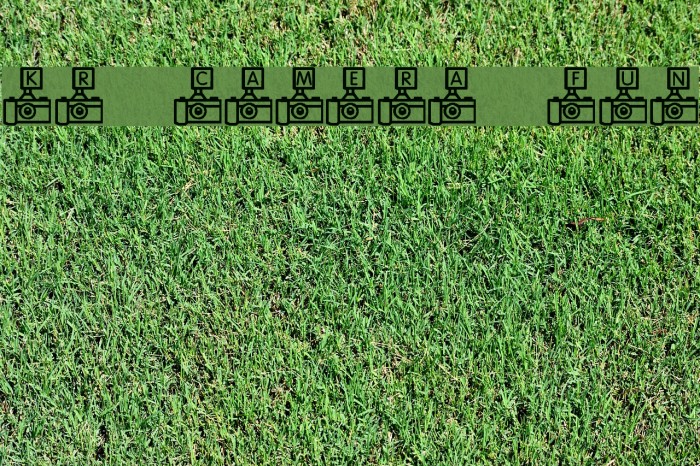 KR Camera Fun Font examples
