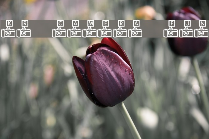 KR Camera Fun フォント examples