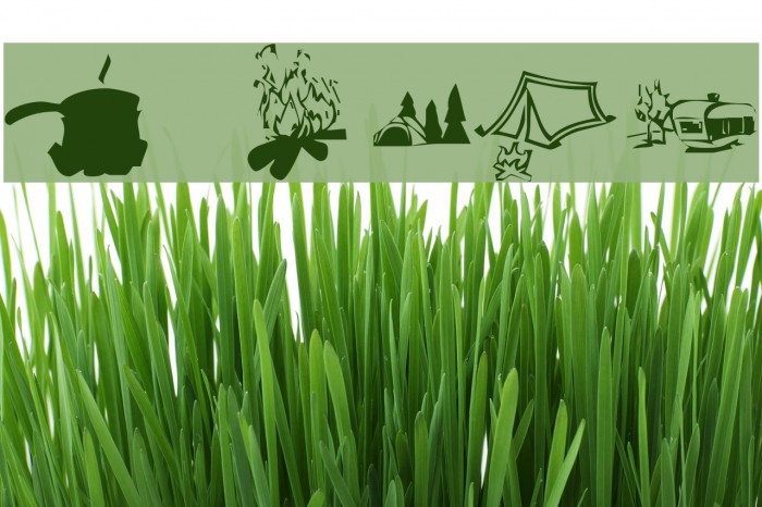 KR Camping Font examples