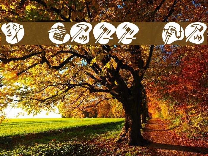 KR Career Day Font examples