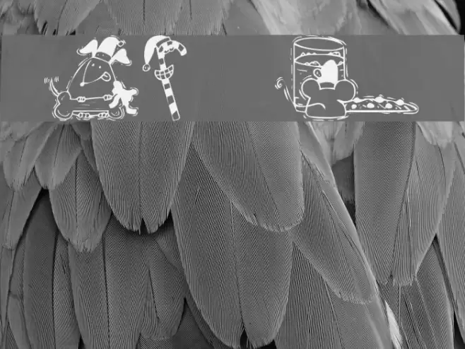 KR Christmas 2002 Dings 3 Font examples