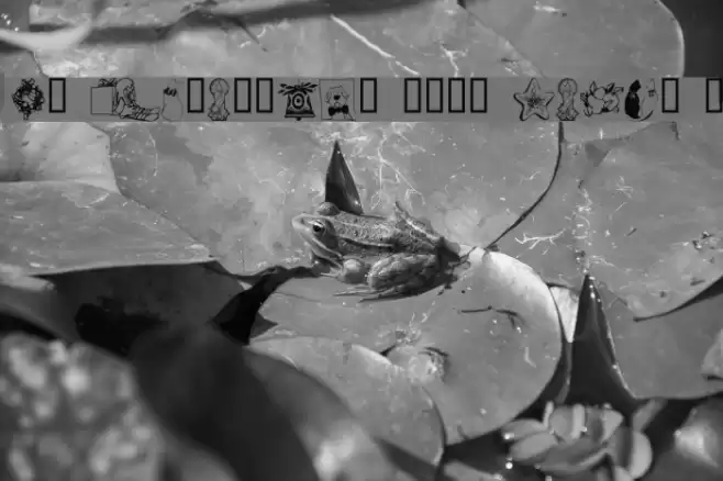 KR Christmas 2002 Dings 5 Polices examples