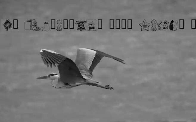 KR Christmas 2002 Dings 5 Polices examples