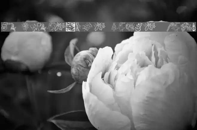 KR Christmas Dings 2004 Five Font examples