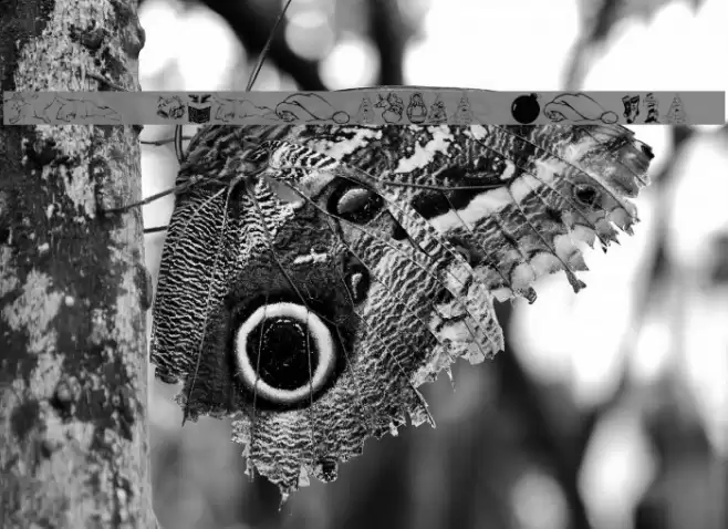 KR Christmas Dings 2004 Font examples