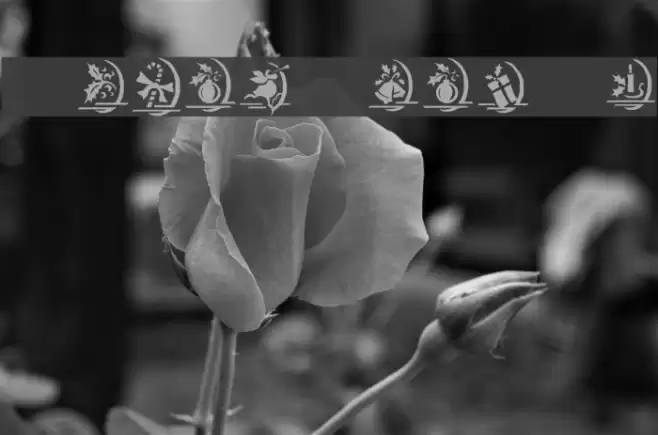 KR Christmas Dings One Font examples