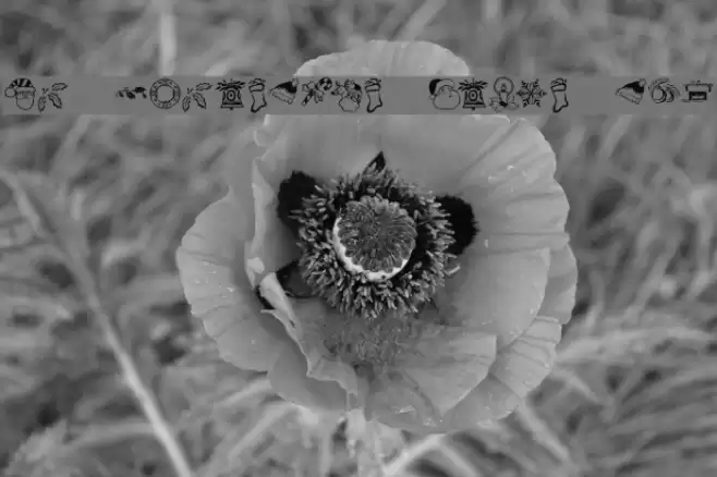 KR Christmas Dings Two Font examples