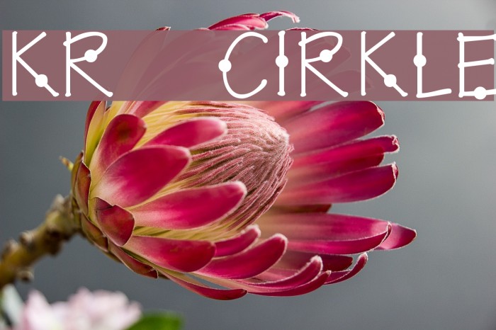 KR Cirkle Шрифта examples