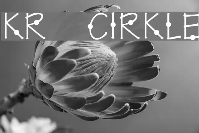 KR Cirkle Font examples