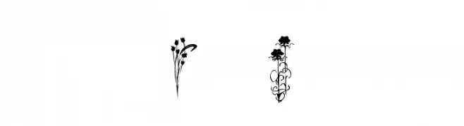 KR Classic Fleur 2  Frei Schriftart Herunterladen