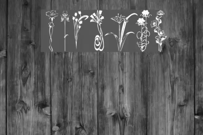 KR Classic Fleur 2 Font examples