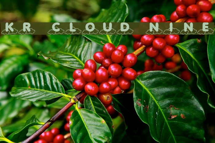 KR Cloud Nine Font examples