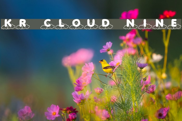 KR Cloud Nine Font examples