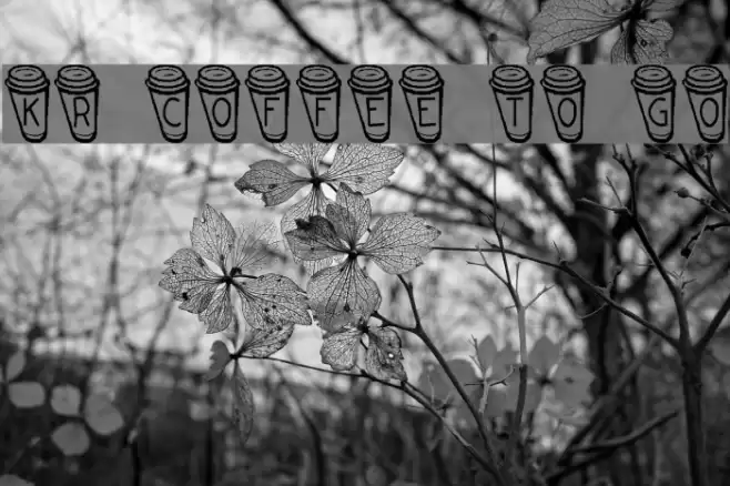 KR Coffee To Go Fuentes examples