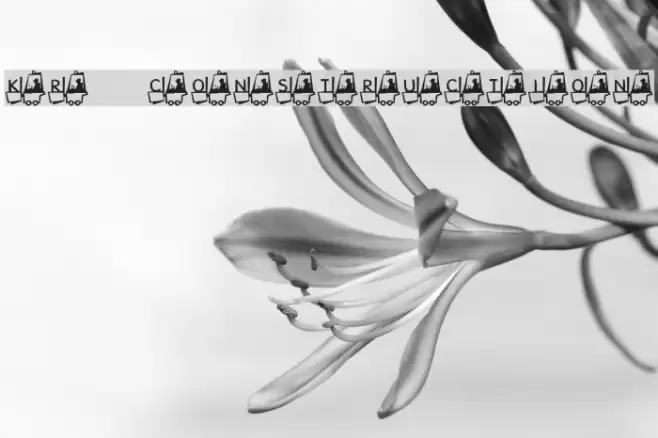 KR Construction Font examples