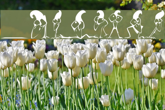 KR Crazy Crow Example 2