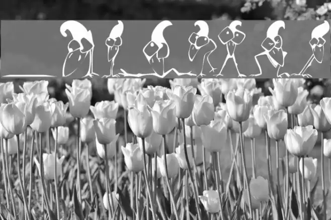 KR Crazy Crow Font examples