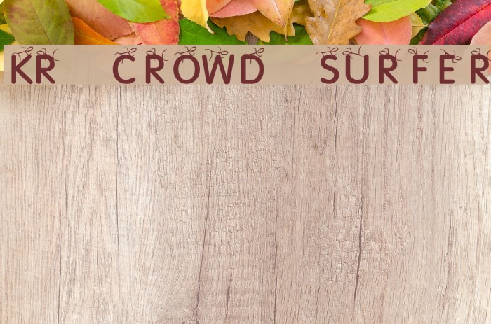 KR Crowd Surfer Font examples