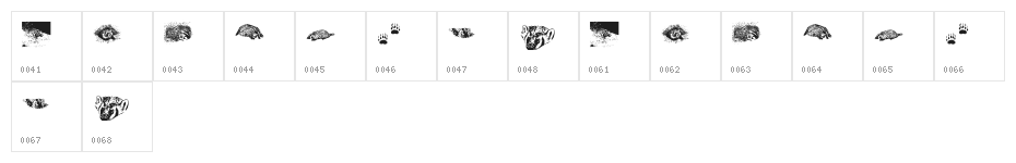 KR Crystal's Badgers Character Map