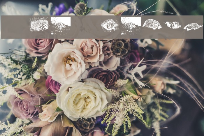 KR Crystal's Badgers Font examples