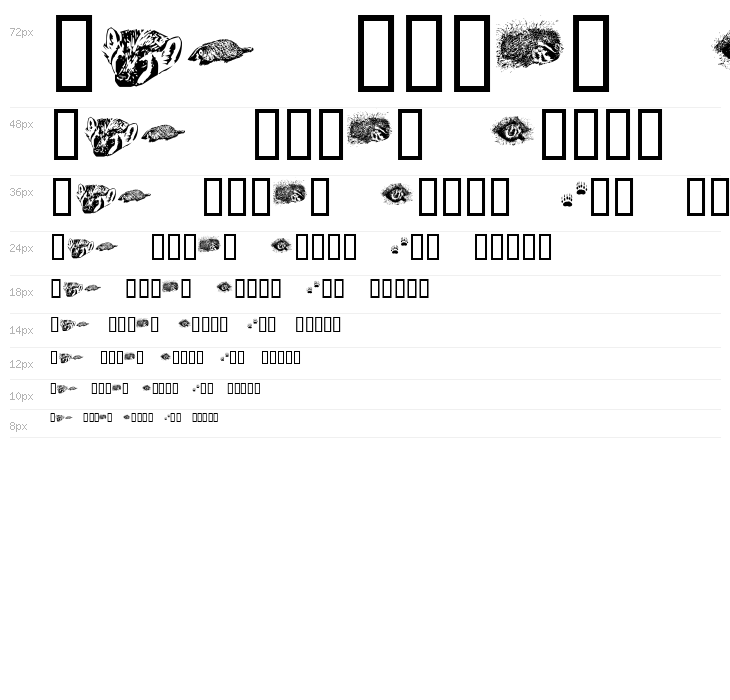 KR Crystal's Badgers Waterfall